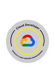 Cloud Developer T-Shirt For Men – Google Cloud Certified Professional